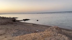 Секрет пляжа Lazuli Hotel Marsa Alam, Egypt. Lazuli Марса Алам, Египет, обзор пляжа. Где тут рифы?!