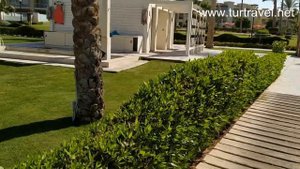 Обзор пляжа rixos premium seagate beach