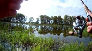 Ловля КРУПНОГО КАРАСЯ на ЗВЁЗДОЧКУ! | МИФ ИЛИ РЕАЛЬНОСТЬ???