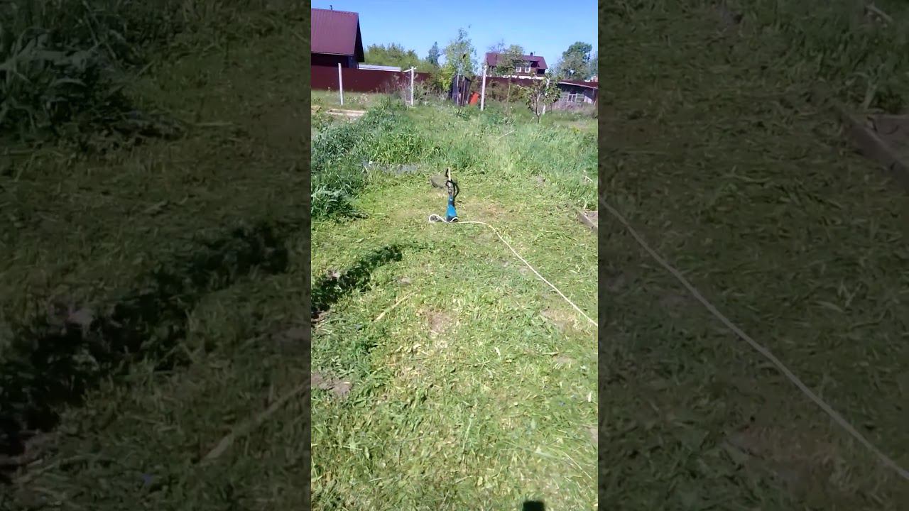 пока приходится косить триммером #огород #сад #мульчирование #природноеземледелие