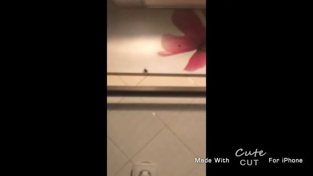 Ловим мух :3 смотреть онлайн