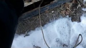 Как вкусно закоптить скумбрию дома.