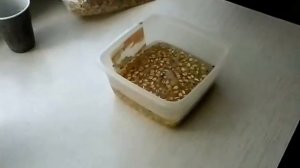 Как приготовить кашу "Геркулес" в микроволновке
