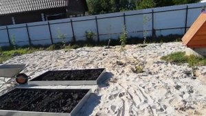 1,5 года привожу в порядок заброшенный участок