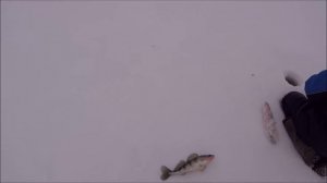 Покатушки Kyron VS NivaChevrolete VS Nissan VS Патриот VS 2131 или как не надо ездить на рыбалку