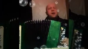 Широка река кавер на баяне.