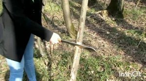 Мачете Bushmate от Kizlyar Supreme против топора!🔥🔥💪🗡