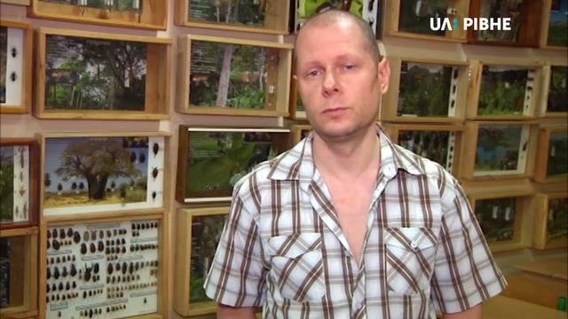 Нашестя комарів: чому їх так багато та як боротись із укусами