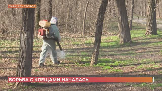 В парках  Ростова началась борьба с клещами