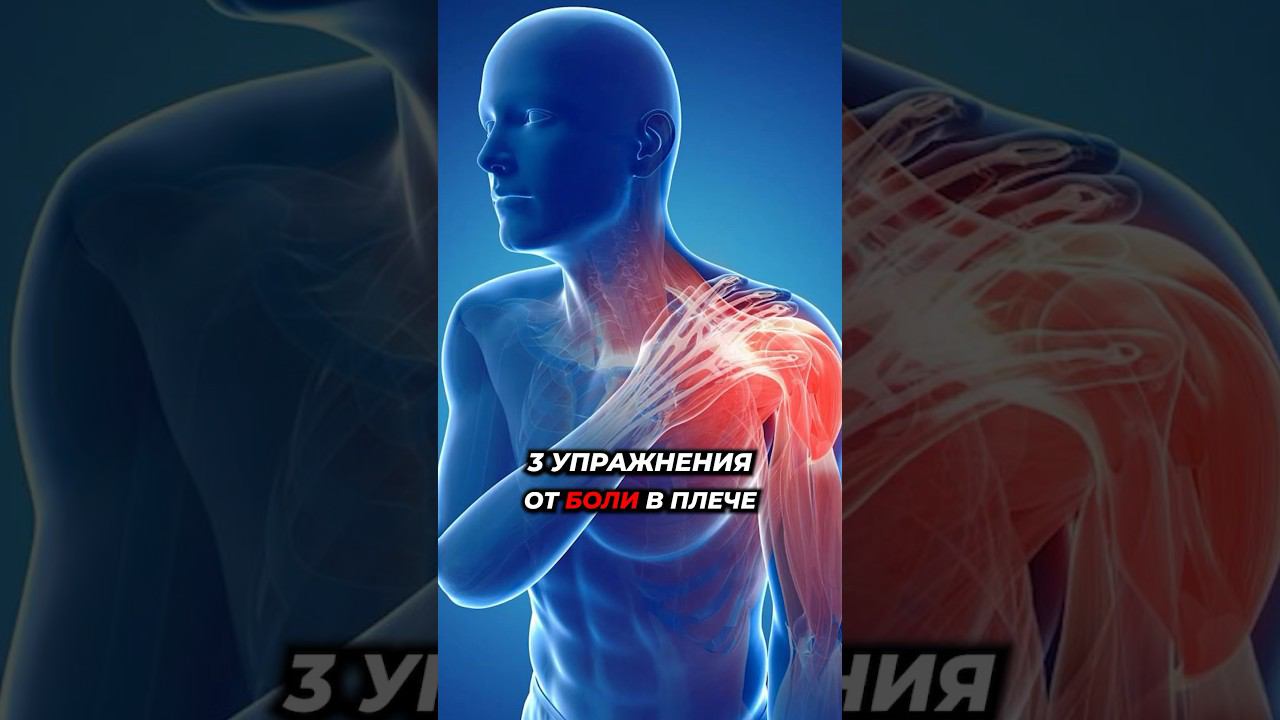 3 упражнения для восстановления плеча #реабилитация #реабилитация #лфк #здоровье #медицина смотреть онлайн
