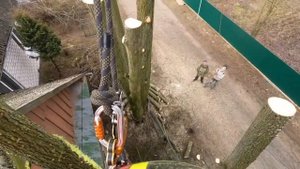 Пример удаления дерева с завешиванием частей