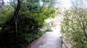 Крым. ЮБК. Гаспра. Пока гуляли, погода сменилась два раза... 24.09.22