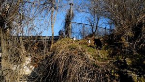 Пятигорск в конце ноября: парк "Цветник", гора Горячая, лечебные ванны, новогодняя ёлка.