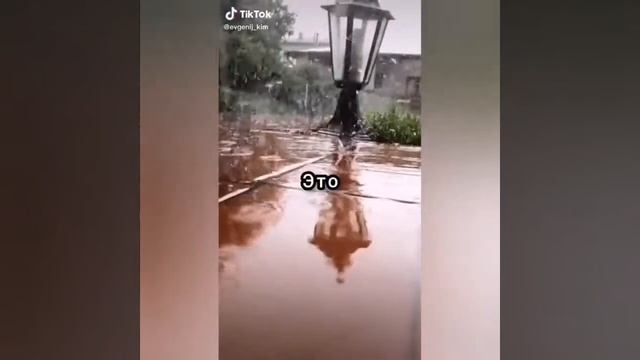 ЦИТАТЫ-ИЗ ТИК-ТОКА✅ СМЕШНЫЕ? ГРУСТНЫЕ? ЖИЗНЕННЫЕ? СО СМЫСЛОМ? ЦИТАТЫ ВОЛКА? смотреть онлайн