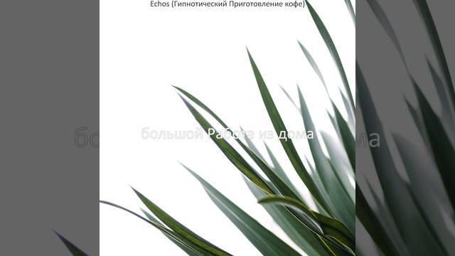 Энергичный (Чувства) Социальное дистанцирование