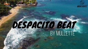 Despacito instrumental cover ( accordion and Cajon cover )