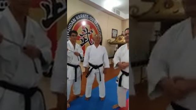 2da entevista al shihan TADASHI IWAMOTO. Shito Ryu. Mexicali, 17 / Nov / 2018. смотреть онлайн