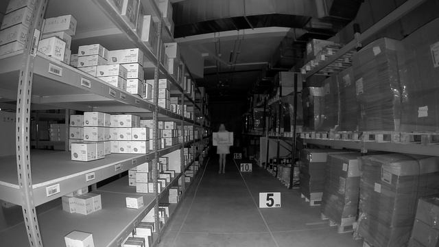 IPC-HDBW2531E-S-S2-NIGHT смотреть онлайн