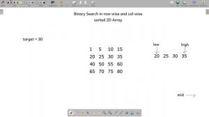 DSA Practice Series | Binary Search | Binary Search in 2d Array | #48 | Entri Elevate Hindi