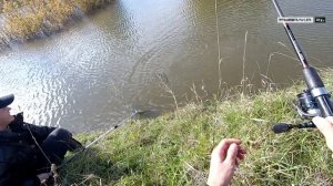 Карп на фрикционе. Вываживание дикого карпа ? кг. Ловля карпа на поплавок методом сталкинга.