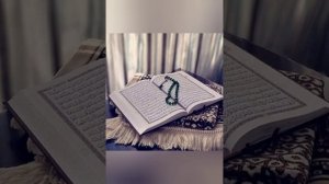 Шамиль Аляутдинов Сура Аль Имран 1-143 аяты