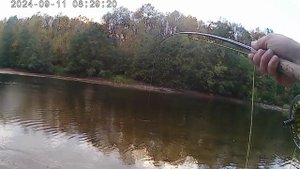 река Ура . Нахлыст и Кумжа 🎣🎣🎣 !!! Это было круто 👍👍👍 09.09.2024