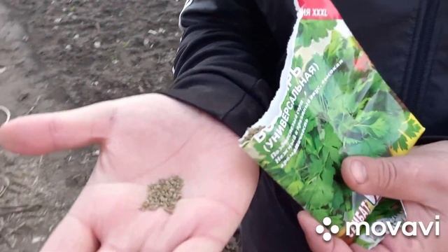 ПОСАДКА ПЕТРУШКИ смотреть онлайн