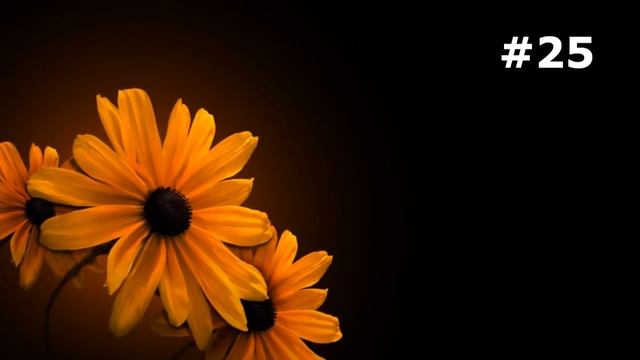 #25. Цветы и растения - очень красивые цветы смотреть онлайн