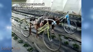 САМОДЕЛКИ, ИЗОБРЕТЕНИЯ И УДИВИТЕЛЬНАЯ ТЕХНИКА, НЕОБЫЧНЫЕ МАШИНЫ И АВТОМОБИЛИ ✦ 29 ✦ Lucky Tech