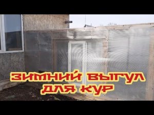 Курятник. Зимний выгул для курочек....