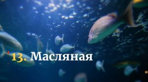 Топ 20 видов рыбы, которую есть нельзя_Это Нужно Знать_Рыба Вредная для Здоровья