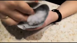 Творческий мастер-класс «Мудрая сова»