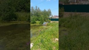 Очистка пруда в садоводстве механическими средствами от водорослей