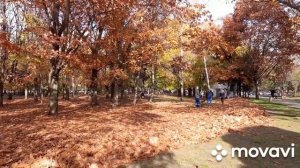 Чистяковская Роща.mp4