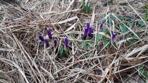 Апрельские каникулы. 12 апреля 2022.