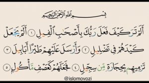 (3)  Фил сураси тафсири