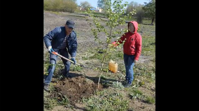 Начальная школа 2013   2014 уч г