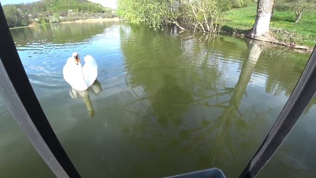 ВЛОГ: Картина маслом). Древо жизни. "Апгрейд" москвича. / Строим дом смотреть онлайн