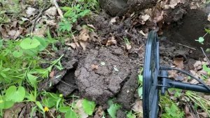 Какое число VDI на чешую Equinox 600/800 ?