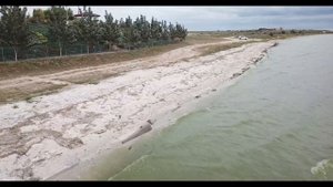 Низовья Днепра