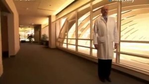 Паразиты  Невидимые черви в теле человека