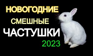 ??ЧАСТУШКИ-ПРИКОЛЫ НОВОГОДНИЕ 2023? "За Отечество родное выпьем с вами сорок раз!"