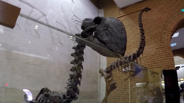 Смотрю на косточки