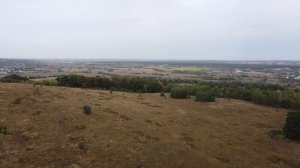 Съемка с дрона в высоком качестве зеленого леса. Видео квадрокоптера с высоты птичьего полета.