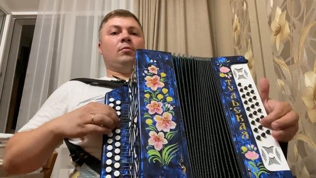 Полынь трава-очень лиричная и красивая музыка #казачьипесни #саратов #гармоньпесни #кавер #музыка