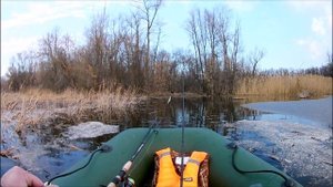 Рыбалка в Саратовской области. Чардым. Разведка обстановки на р. Волга.