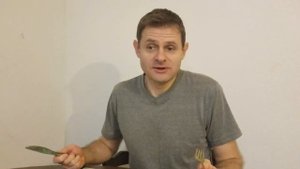 №177. Пицца без дрожжей и без мяса. Попробуйте, вам понравится