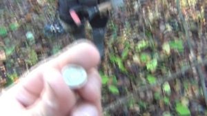 РЕАЛЬНЫЙ ПОИСК и находки с металлоискателем Garrett ACE Apex