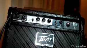 Peavey Max 110 Bass Combo: Bassreviewed Episode (quick review)