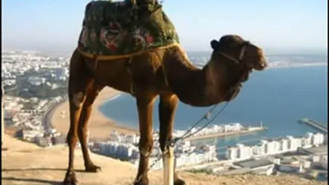 Группа Ахас - Азия Евразия